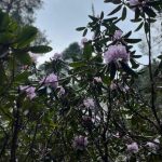 Best Time to Travel to Bhutan