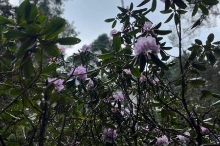 Best Time to Travel to Bhutan